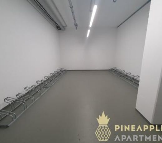 Pineapple Apartments Penthouse am Zwinger - 162m2 - 1x free parking
