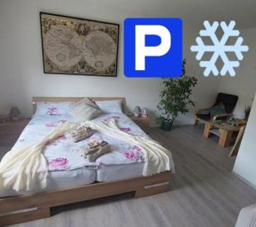 Pension RINGO, Airport Pit Stop, Bahnhof und Flughafen in der Nähe