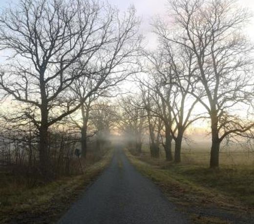 Soonlepa hÃ¤Ã¤rber