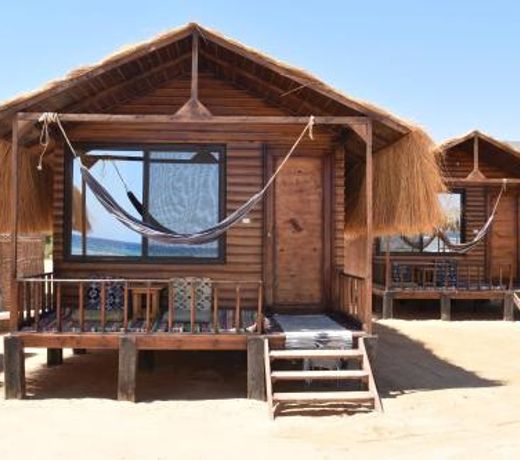 Shanty beach camp suer