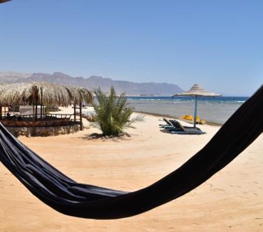Shanty beach camp suer