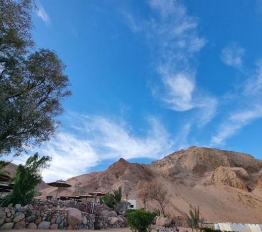 The Bedouin Moon