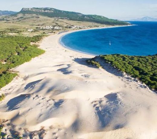 Levante