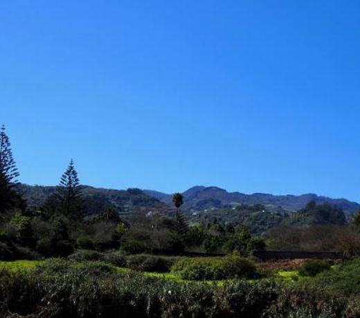 Las Vistas