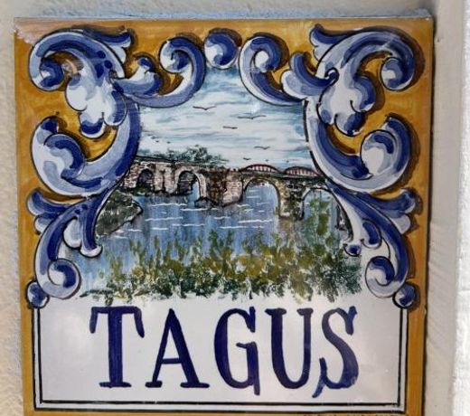 Alojamientos Ribera del Tajo