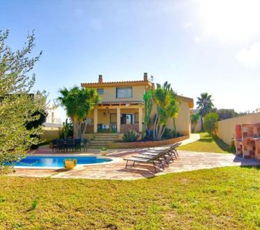 Villa Los Olivos
