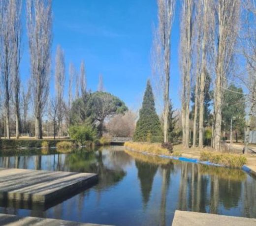 EL RINCÓN DE CHAVELY