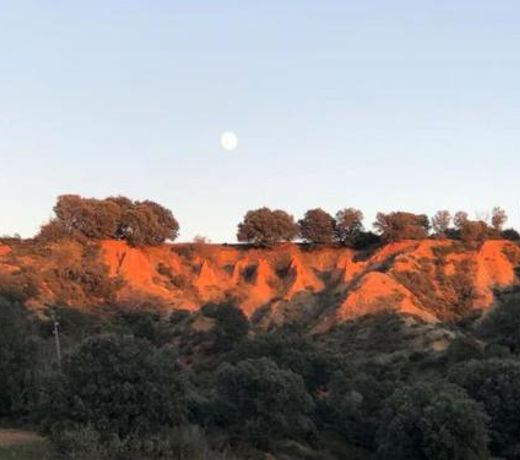 La Encina, casa tranquila con excelentes vistas