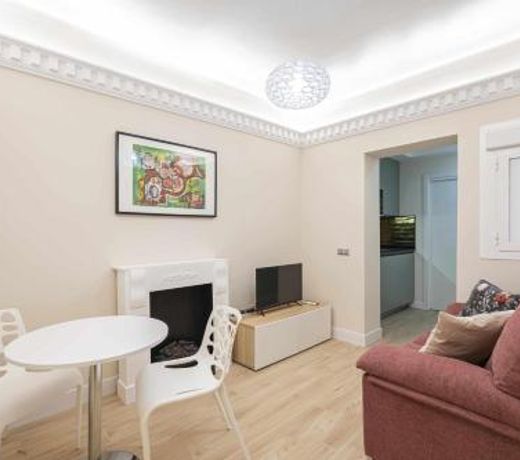 Lujoso apartamento céntrico 1 dormitorio
