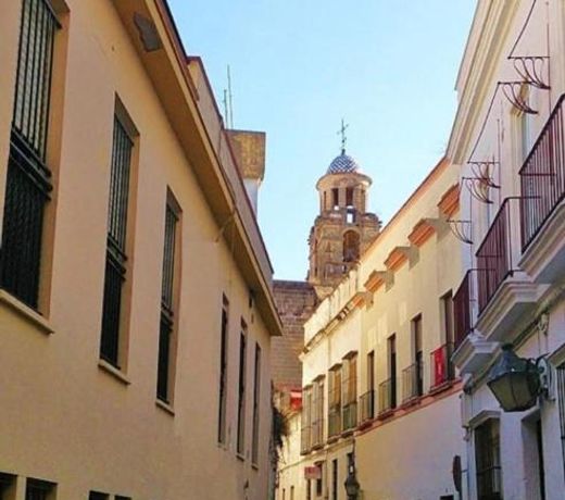 Palma 2 sueÃ±os