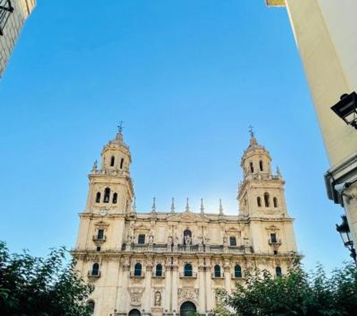 Vivenda con Fines TurÃ­sticos Catedral de Jaen