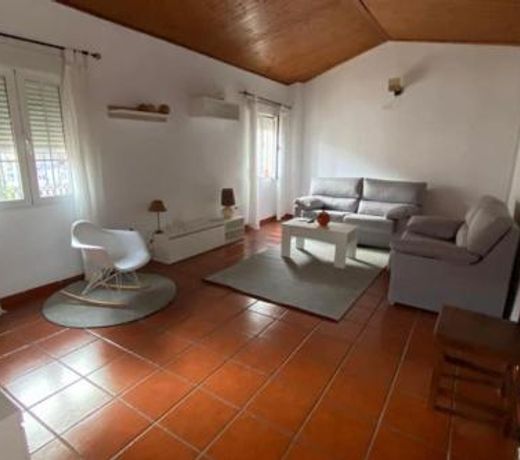 Casa del Aceite de Oliva Virgen Extra