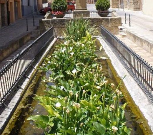 La Pilarcita Centro