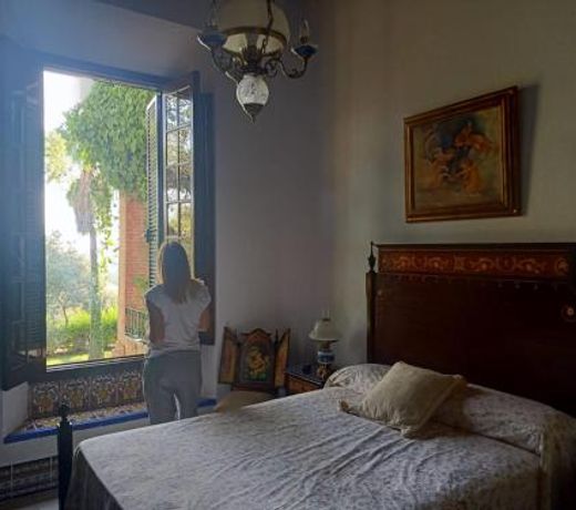 Aracenilla 7