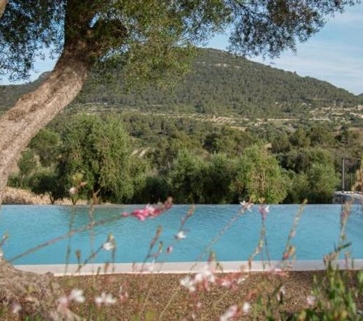 Finca Treurer - Olive Grove & Grand House - Adults Only