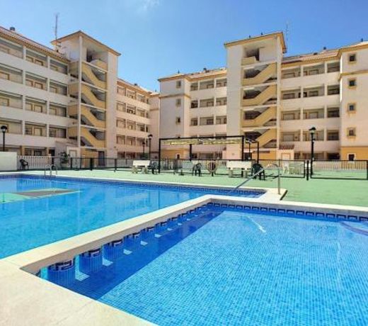 Apartament Rose