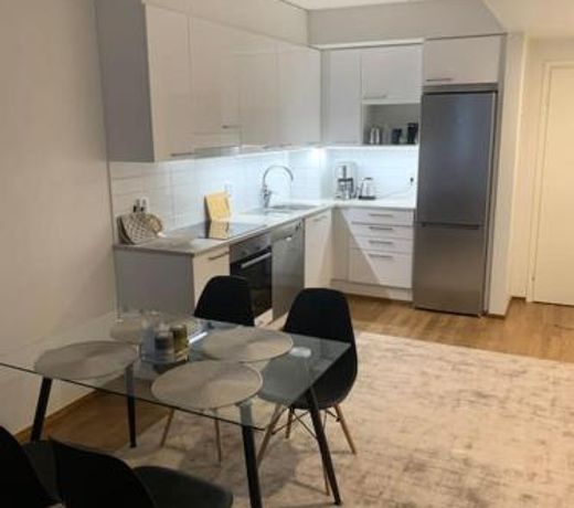 Stylish apartment with sauna nearby Airport