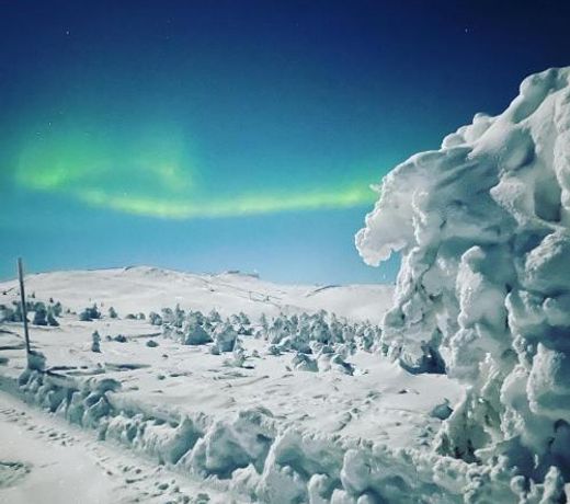 Levi Moonlight Apartment 203