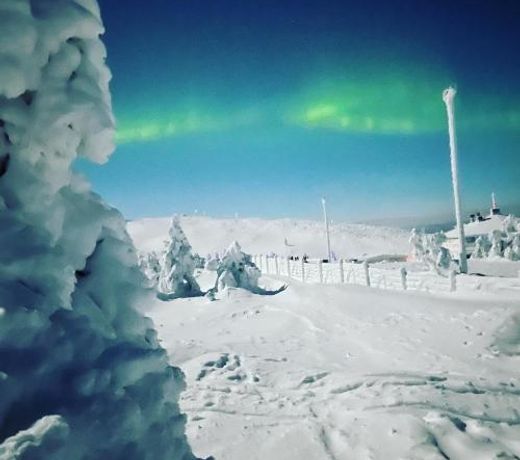 Levi Moonlight Apartment 203