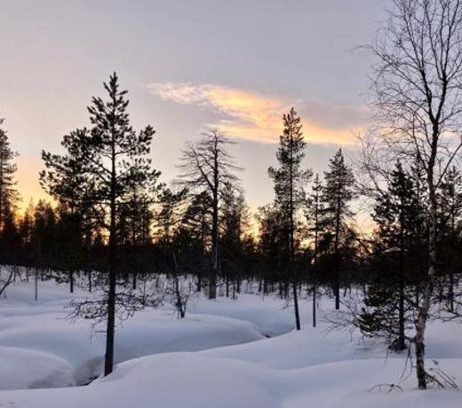 Kuukkeli Log Houses Aurora Cabin - Jaspis