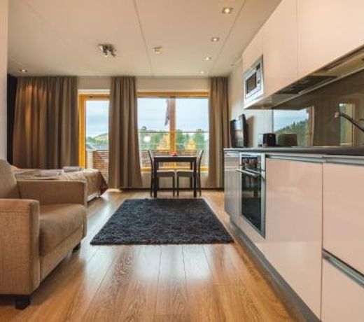 Skihouse Apartment