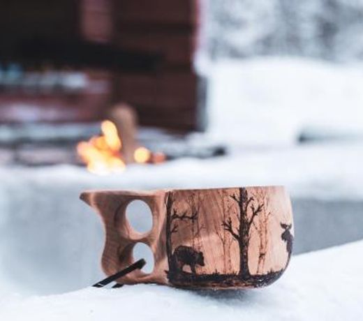 Holiday in Lapland - Levisalmi A