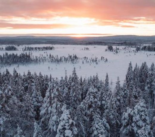 Levi OloResort Suite
