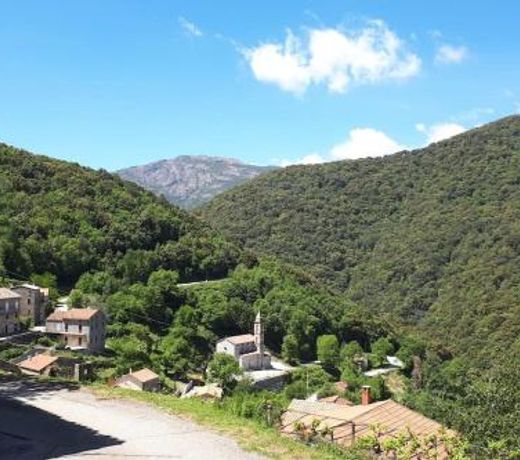 Charmant appartement au cÅur de la montagne Corse