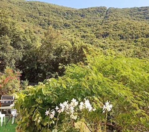 Charmant appartement au cÅur de la montagne Corse