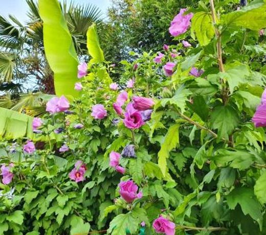 Demeure de charme paisible