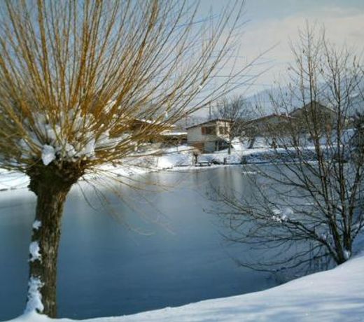 Le pavillon de l'etang