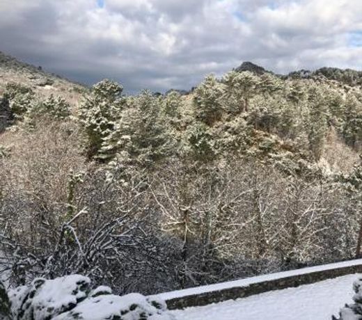 Mas historique du XVe Cevennes