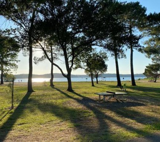 Cool Landes