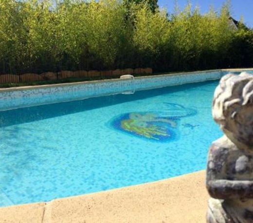 Villa de 6 chambres avec piscine privee jardin clos et wifi a Saint Cyr sur Loire
