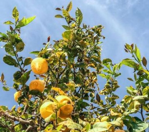 French Riviera: Seafront apt & pool near Monaco