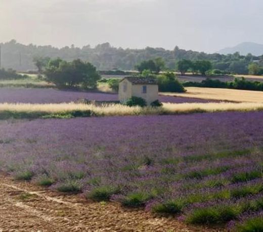 Location de vacances Rians haut Var
