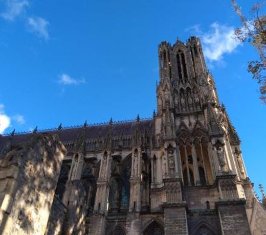 Reims Hyper-Centre Petit Appartement ideal