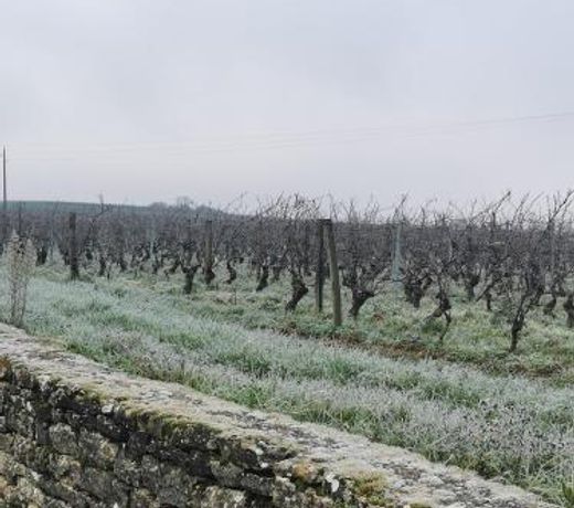 Au Jardin des Deux Roches