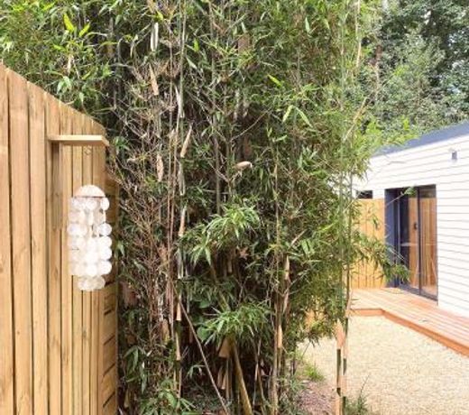 Bamboo & Spa