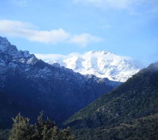 LE ELLA PROCHE DES GORGES DE L ASCO ENTRE MER ET MONTAGNE