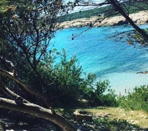 Mazet provencal au coeur des AlpillesÂ La RÃªverie