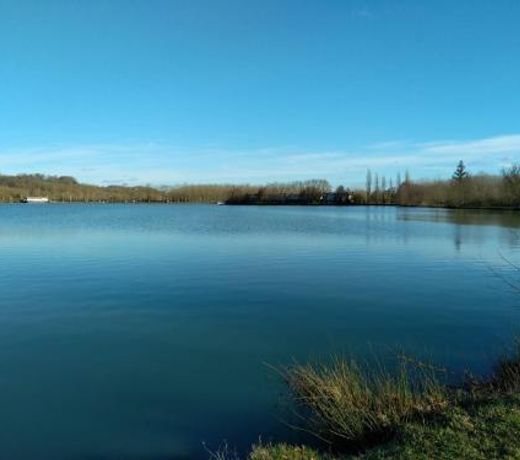 Le petit jazz du lac