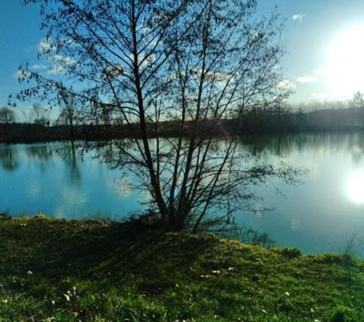 Le petit jazz du lac