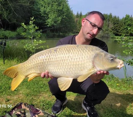 Les etangs du moulin d'Harcy
