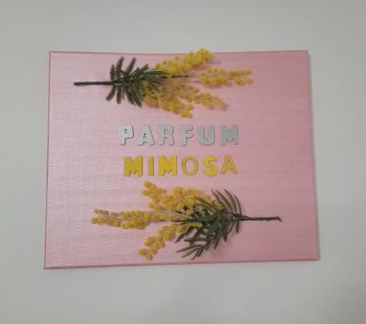 Parfum mimosa