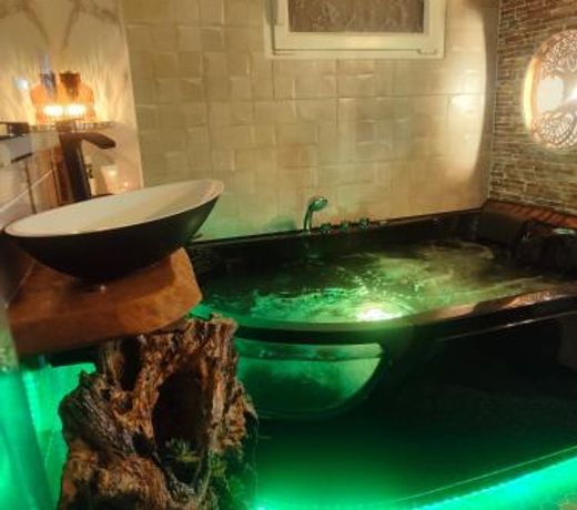 Le Neflier Dijon - appart jacuzzi-SPA romantique pour 2