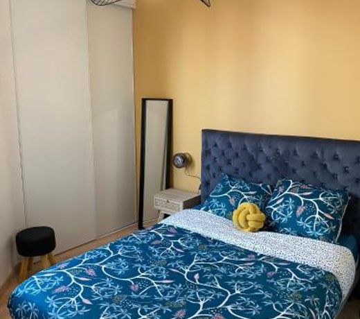 Magnifique appartement au centre ville avec parking privé et gratuit LE JARDIN DES PLANTES