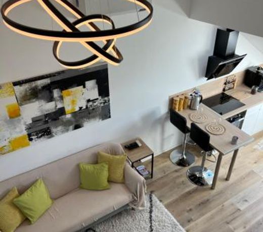 Loft ravissant avec parking gratuit