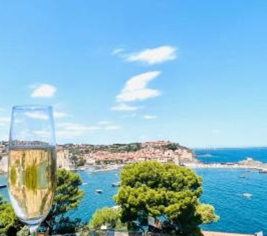 Vue exceptionnelle sur la baie de Collioure