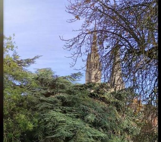 Le p'tit Beauce au CÅur de Chartres